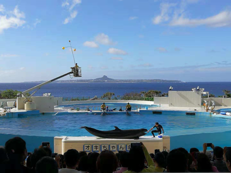 2025澳门原料网大全1688